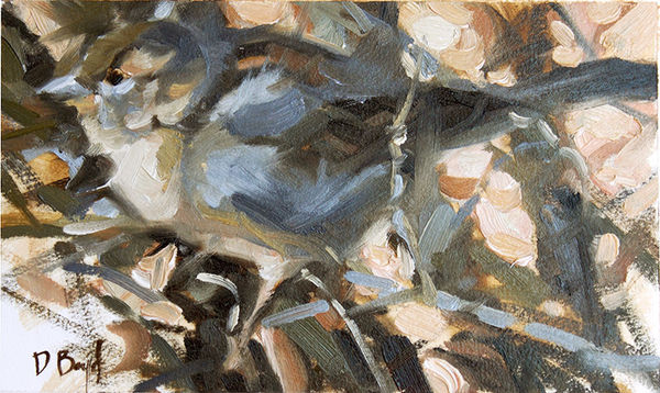 Dennis Boyd, Through the Hedge, 2021