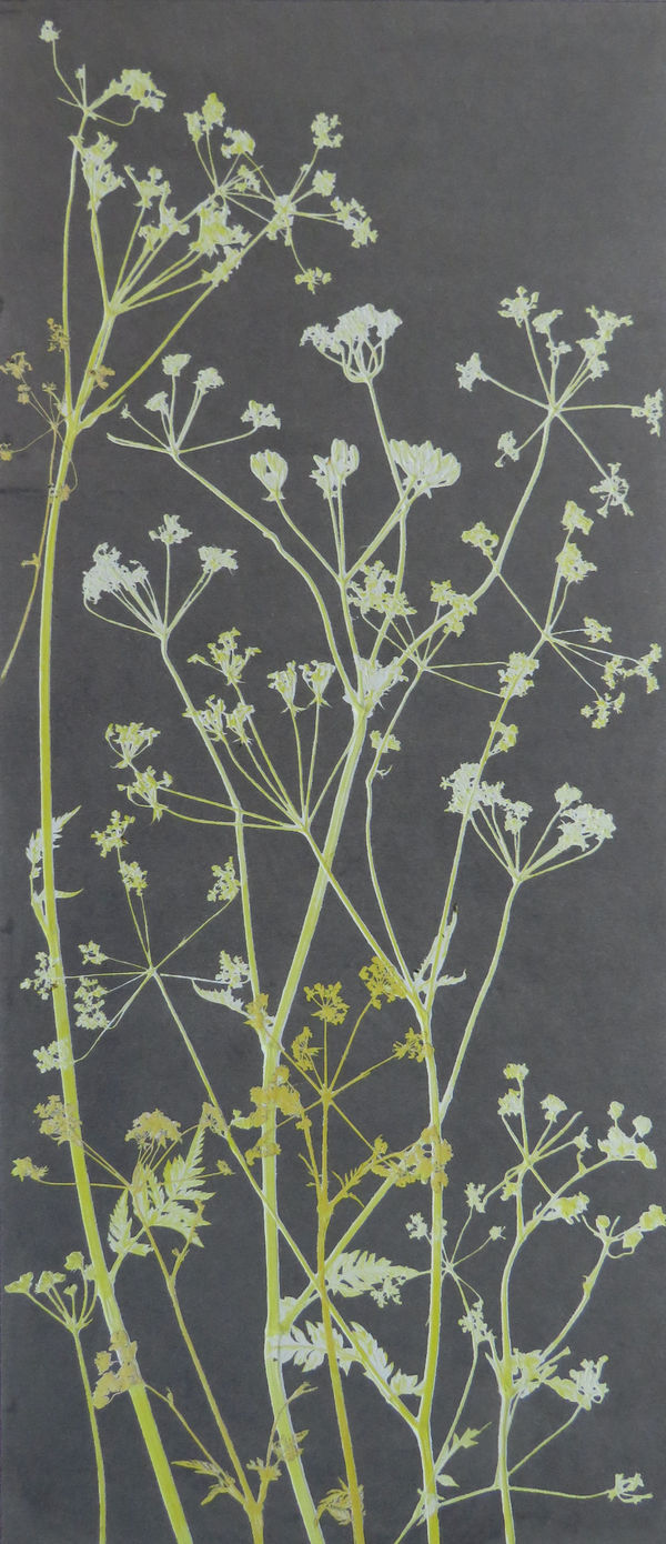 Robin Moorcroft, Wild Edges (framed)