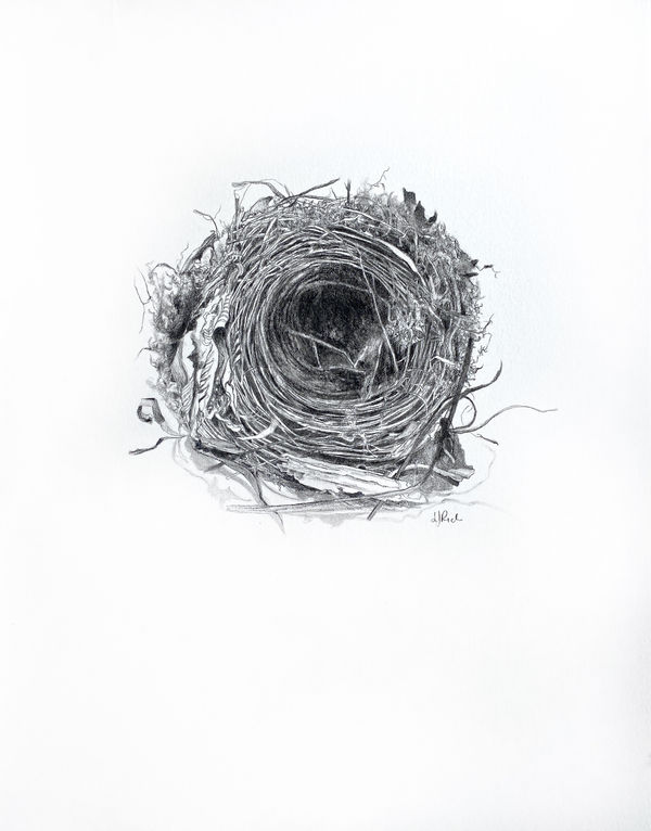 Laura Rich, Blackbird