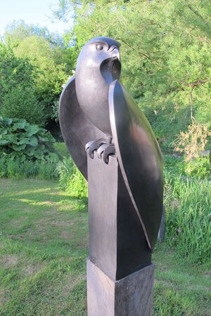 Paul Harvey, Peregrine Falcon