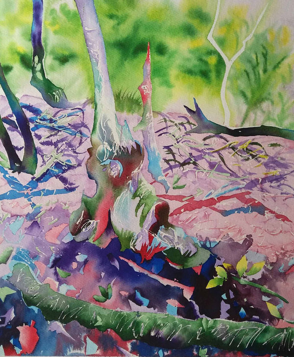 Abi Kremer, Lady Park Wood 1