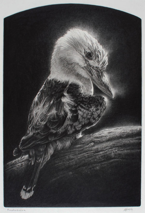 Angela French, Kookaburra