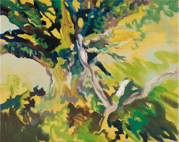 Fiona McIntyre, Ancient Oak Reincarnating, Horners Wood