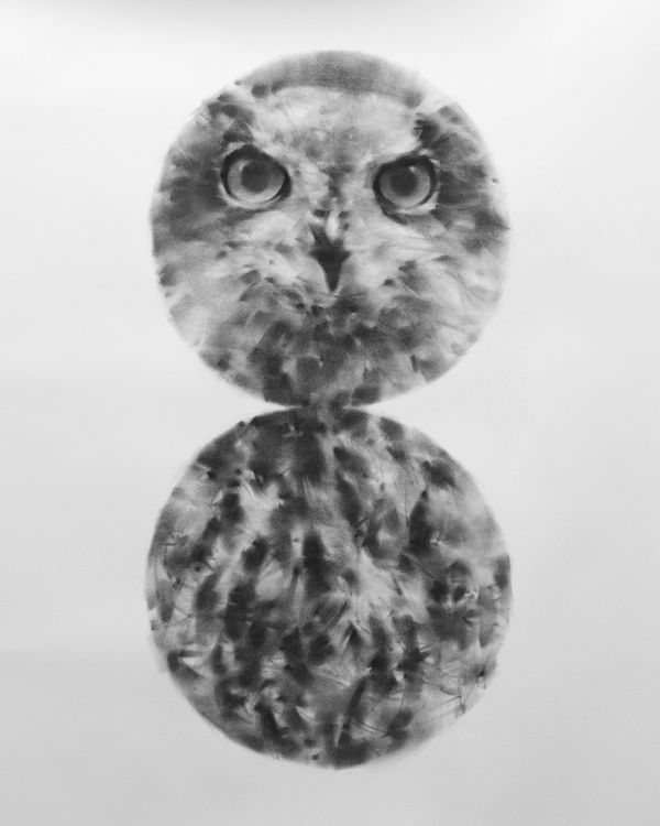 Tianyin Wang, Two Circles, 2024