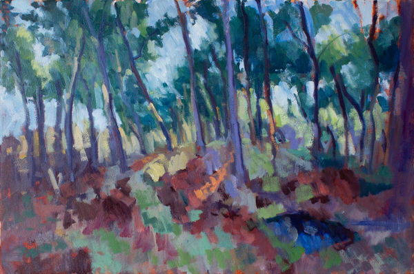 Jonathan Koetsier, Tentsmuir Forest, Light Through Trees on a Hill