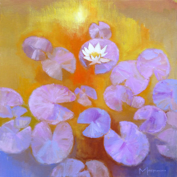 Jack Morrocco DA FRSA, Lilypond First Bloom, Sunset