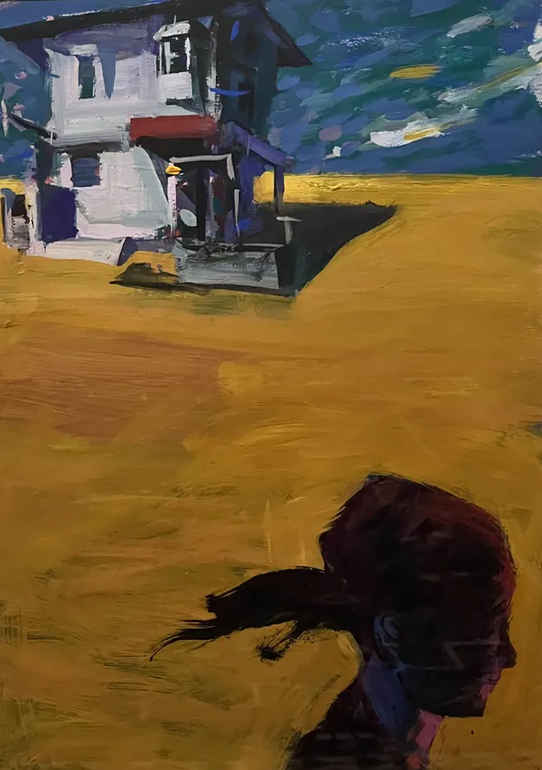 Ian Cook, Plains House