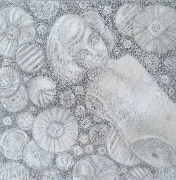 Joan Burgoyne The Lodger in my Button Box Pastel pencil with watercolour washes 30 x 30 cm Framed 33 x 33 cm