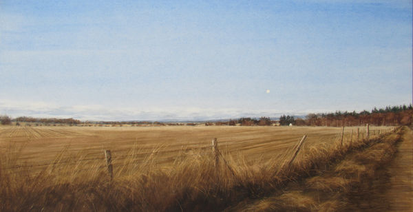 David Johnston RSW Late Winter Light, the Mearns Watercolour 37 x 71 cm Framed 63 x 96 cm