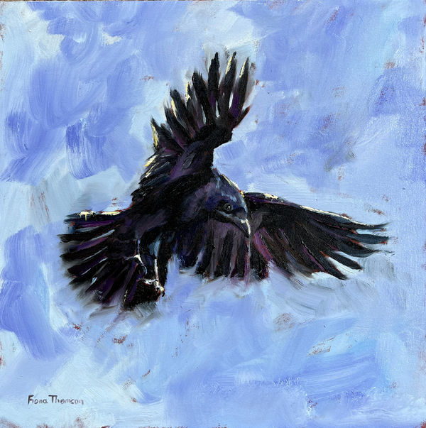 Fiona Thomson Landing, Crow Oil on canvas 30 x 30 cm Framed 43 x 43 cm
