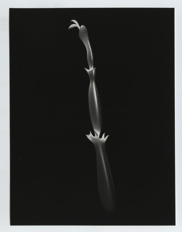 Abraham George Song of Songs XVIII, 2018 Silver gelatin print on resin paper 16.51 x 20.3 cm