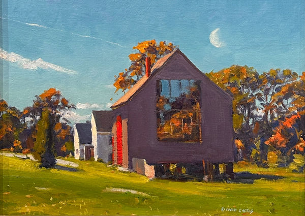 David P. Curtis (1950-2021), Reflections