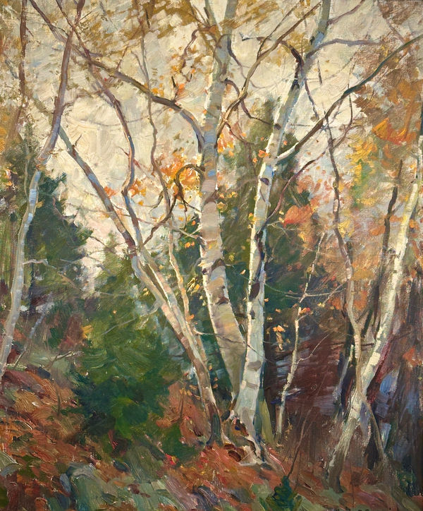 Emile A. Gruppé (1896-1978), Birches and Evergreen
