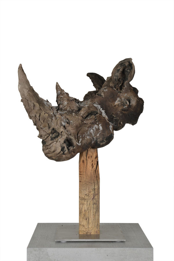 Ronceval Brown Rhino