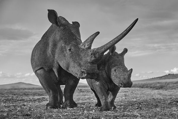 Tom D. Jones, Blissful Touch