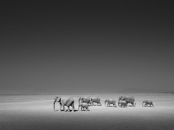 Tom D. Jones, Dry Lake Bed