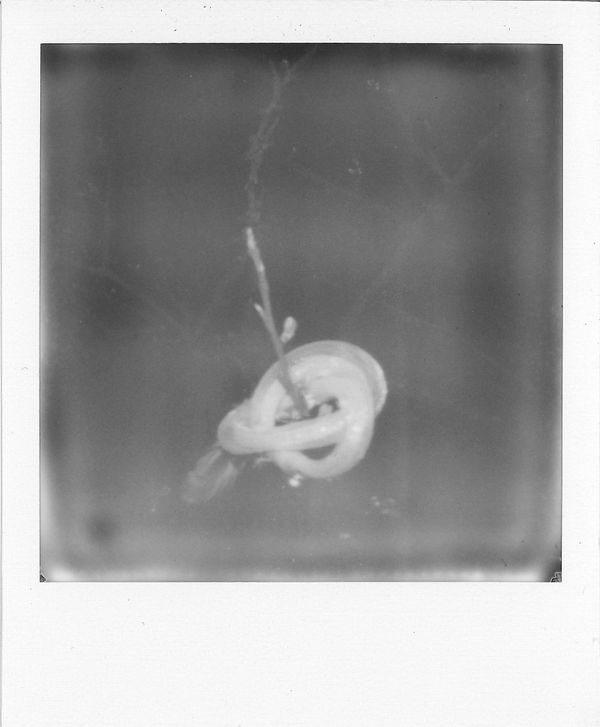 SUNouSAN, Passion, 2023