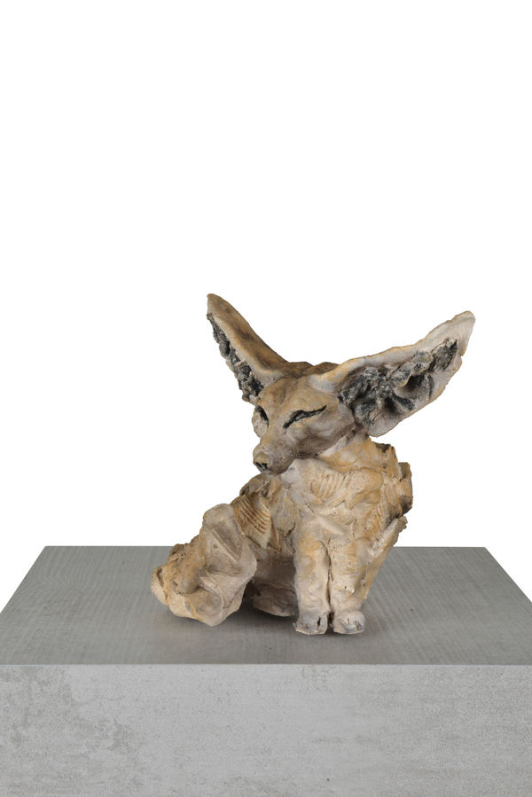 Ronceval Fennec Fox