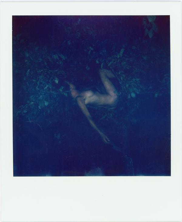 SUNouSAN, Goodnight, 2023