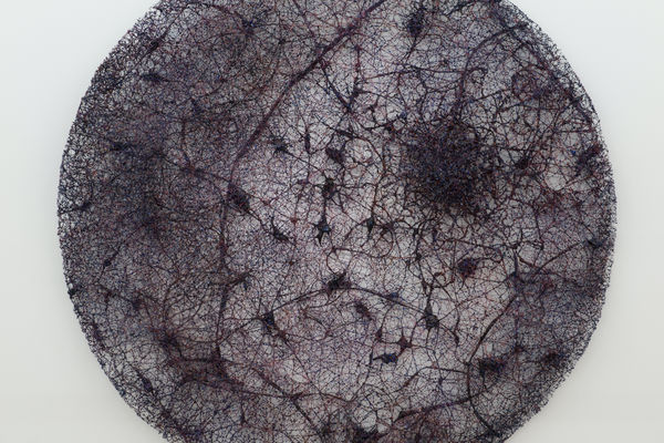 Be Takerng Pattanopas Curtin, Relational Anesthetic #1