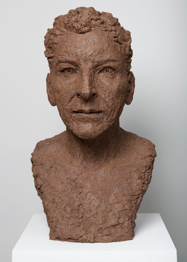 Jane McAdam Freud, Merged Portrait, 2011