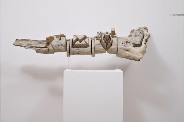 Recycle Group, Noah's Ark, 2015