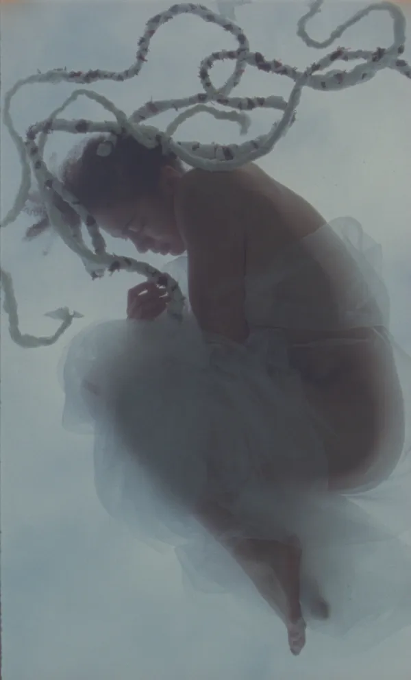 Ashley Philomene Amougou & Camille Roded, Chrysalis, 2020