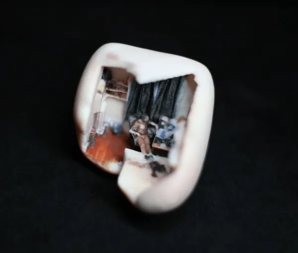 Ziv Schneider & Caitlin Robinson, Rob, 2017