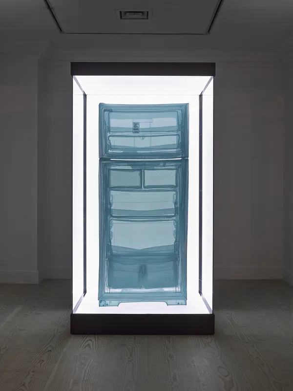 Do Ho Suh, Specimen Series: Refrigerator, Apartment A, 348 West 22nd Street, New York, NY 10011, USA, 2013