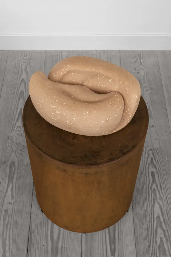 Kalliopi Lemos, Twin Seed, 2002