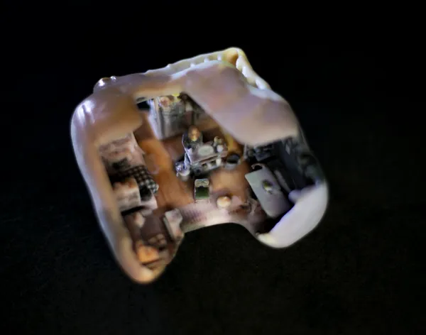 Ziv Schneider & Caitlin Robinson, Amelia, 2017