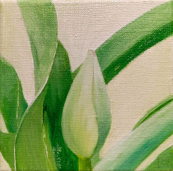 Regina Rzayeva, Fragments, 2025