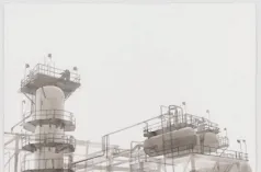 Roxy Paine, Untitled, 2014