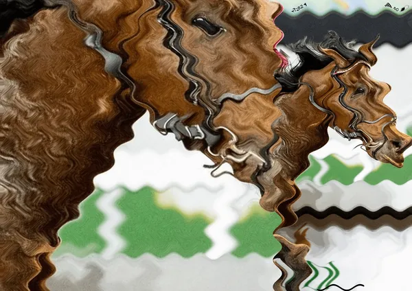 Ahaad Alamoudi, Winner winner chicken dinner , 2020