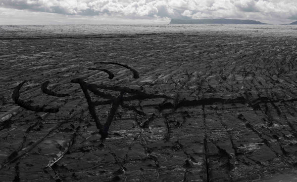 Recycle Group, Cellular, 2015