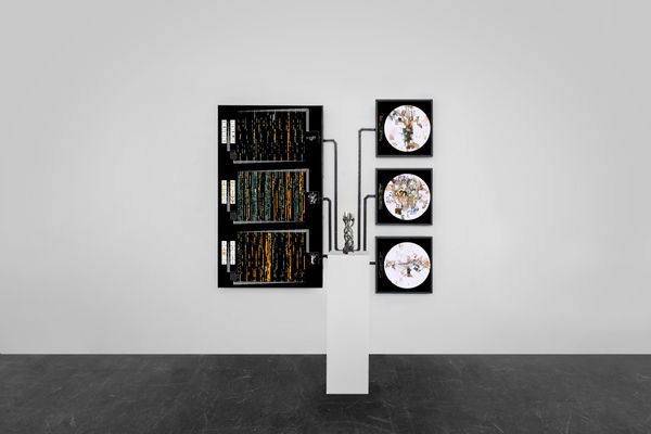 Entangled Others, Self-contained 009.4, 2024