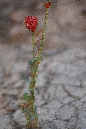 Rehab Eldalil, The Longing of The Stranger Whose Path Has Been Broken , 2020