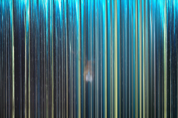 Hyo Myoung Kim, Forest, 2010