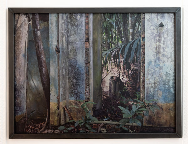 Wilhelm Moser, Paricatuba, 2024