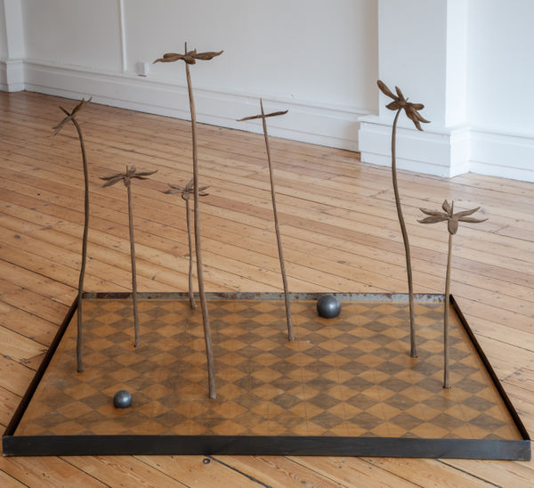 Salvatore Pione, Ercolina , 2024