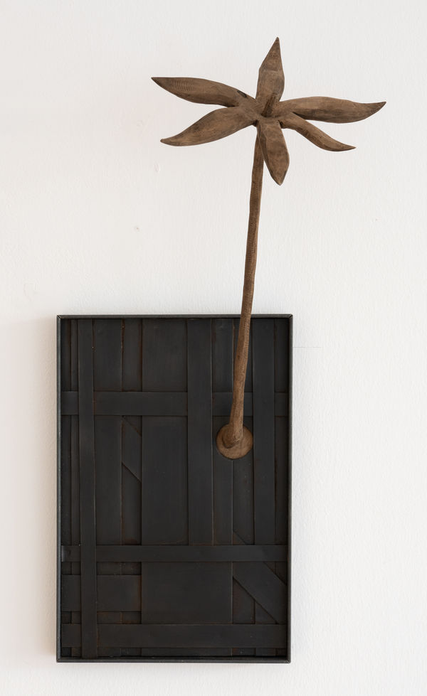 Salvatore Pione, L’Irreparabile, 2024