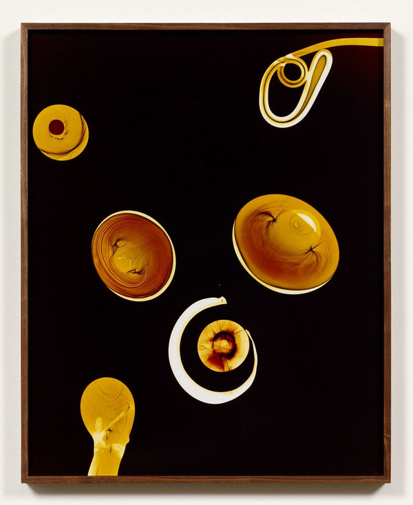 Kelly Akashi, Cobalt Blue (Vertical Arrangement), 2016