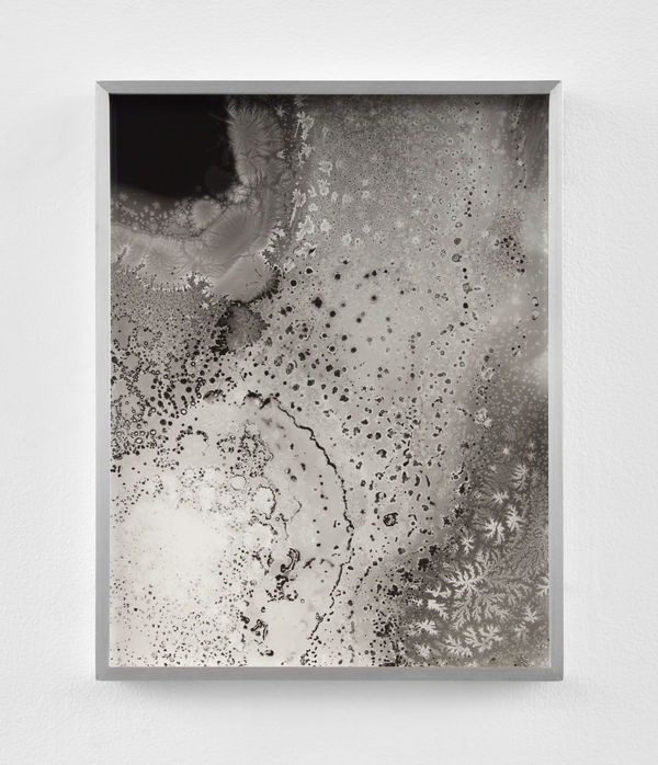 Kelly Akashi, Formation, 2021