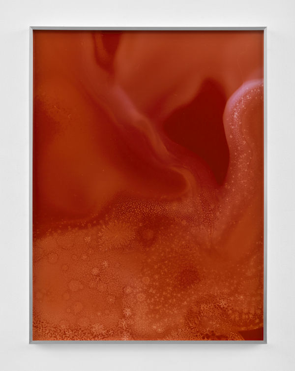 Kelly Akashi, Formation, 2021