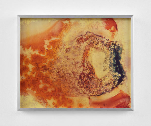 Kelly Akashi, Formation, 2021