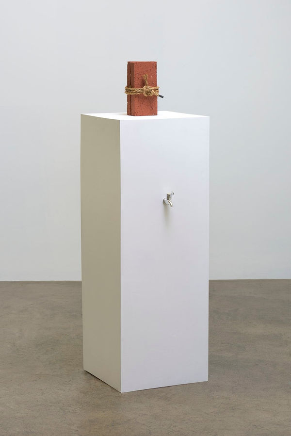 Candice Lin, Recipe for Spontaneous Generation: Baby Scorpions, 2015