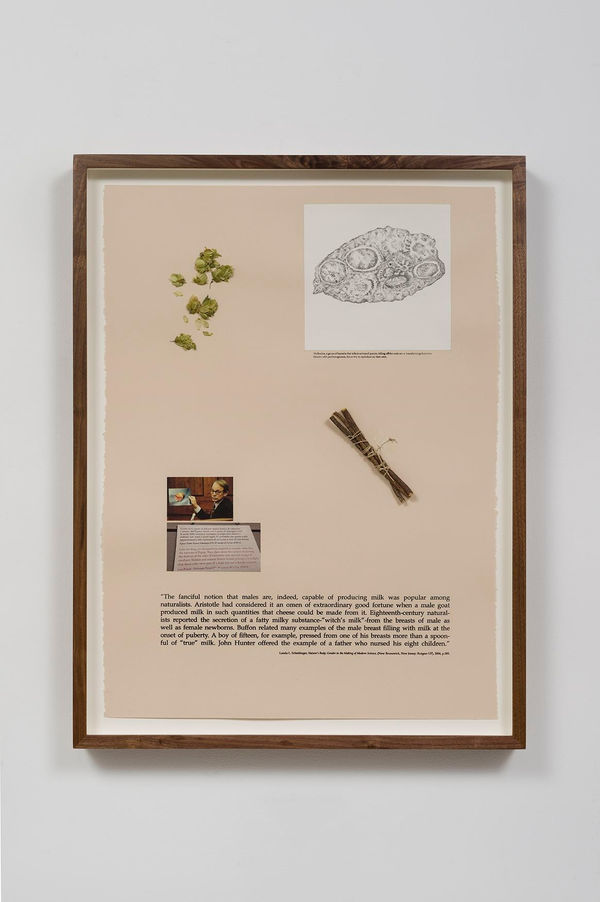 Candice Lin, Minimizing Males, 2015