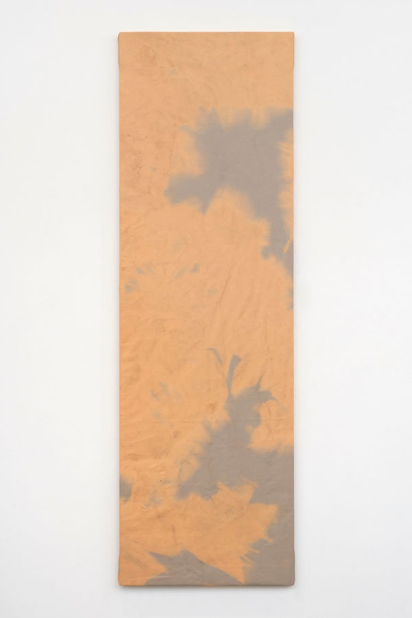 Rindon Johnson, As nearly like the day., 2022