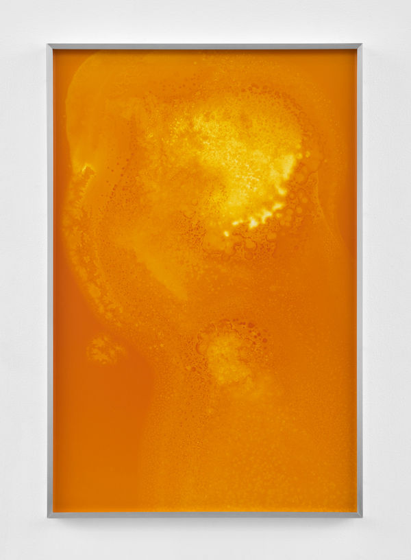 Kelly Akashi, Formation, 2021