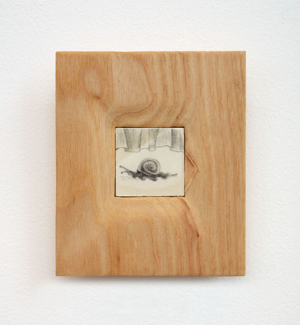 Em Kettner, Snail Spotlight, 2022